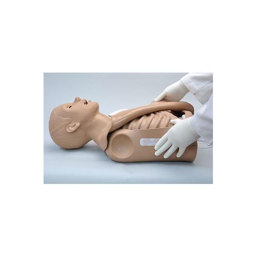 CPR Simon® Gövde Simülatörü OMNI®, 1022057, Yetişkin BLS