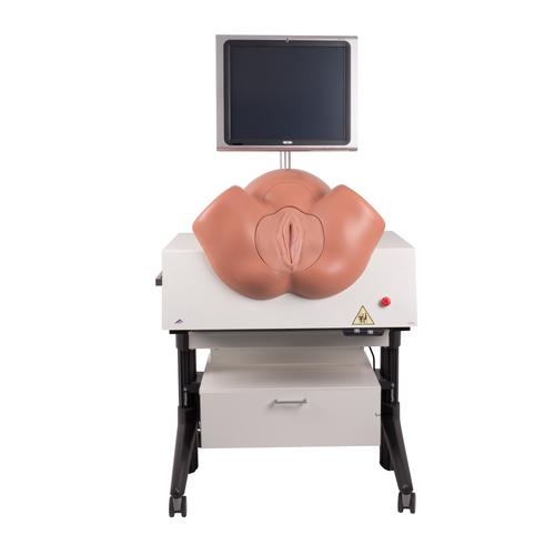 SIMone Doğum simülatörü, 1019599 [P80/1], Obstetrik