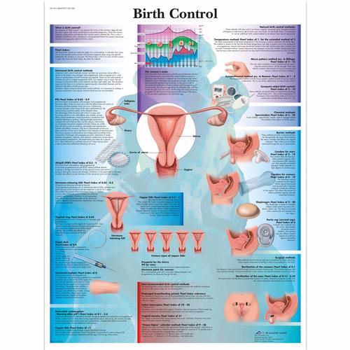 Birth Control, 1001580 [VR1591L], Gynaecology
