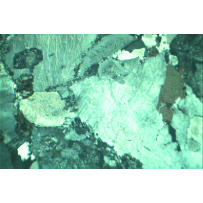Kayalar ve Mineraller, Temel Set II - Almanca, 1013335 [W13063], Petrografi