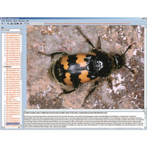 Böceklerin Dünyası, Etkileşimli CD-ROM, 1004291 [W13522], Biyoloji yazilimi
