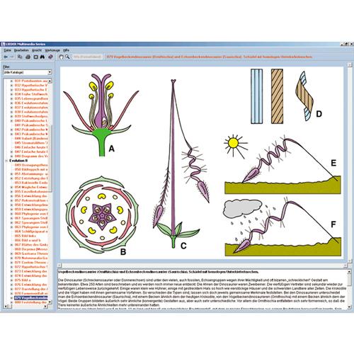 Çiçek ve Meyve  Biyolojisi, Etkileşimli CD-ROM, 1004295 [W13526], Biyoloji yazilimi