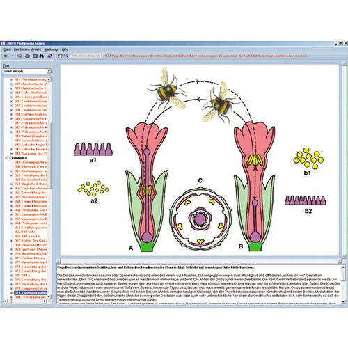 Çiçek ve Meyve  Biyolojisi, Etkileşimli CD-ROM, 1004295 [W13526], Biyoloji yazilimi