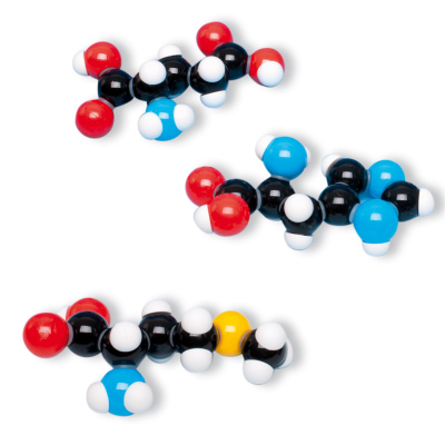 Amino Asit Kiti, 7 Model, molymod®, 1005288 [W19712], Moleküler Modelleri