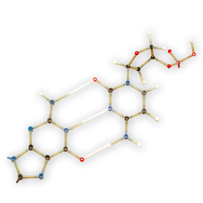 Biyokimya Seti 260, Orbit™, 1005304 [W19803], Moleküler Yapı Setleri