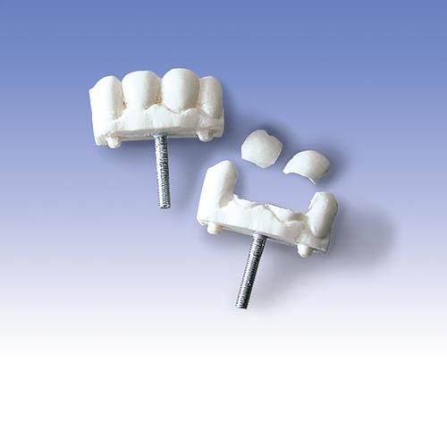 Front Teeth, set of 3, 1005397 [W30510], Yetişkin Hava Yolu Yönetimi