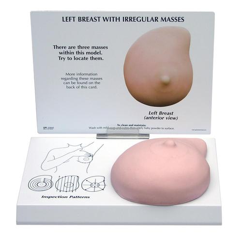 Left Breast Model with Irregular Masses, 1019558 [W33385], Göğüs Modelleri