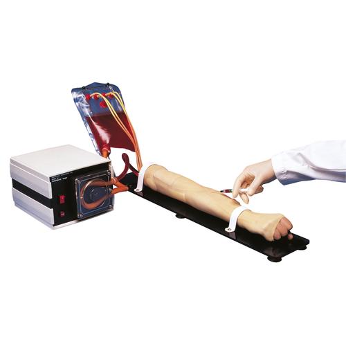 Arterial Stick Exercises and Injection Arm, 115V, 1005810 [W45093], Enjeksiyonlar ve Noktalamalar
