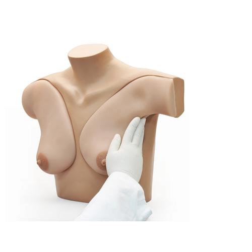 Breast Self Examination Simulator, 1017548 [W45105], Saglik egitimi - Kadinlar