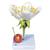 Kiraz Çiçeği Modeli (Prunus avium), Meyvesi ile birlikte, 1020125 [T210191], Dikoliledon Bitki Modeller (Small)