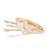 Catfish Skull, 1020965 [T30030], İktiyoloji (balık bilimi) (Small)