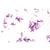 Bakteri Seti, İngilizce (25'li), 1003969 [W13040], Ingilizce (Small)