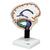 Beyin ve Omurilik Sıvısı Dolaşımı Modeli, 1005114 [W19027], Beyin Modelleri (Small)