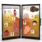 Alkol Kötüye Kullanımının Sonuçları, 3D Pano, 1005582 [W43053], Uyusturucu ve alkol bagimliligi egitimi