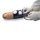 Hoparlörler Dahil Kan Basıncı Eğitim Sistemi 110VAC, 1019671 [W45159-1], Kan Basıncı